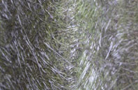 Penrose Hill fibreglass roof work